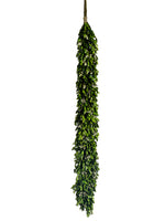 45.2" Preserved Boxwood/Statice Garland Green Cream (pack of 2)