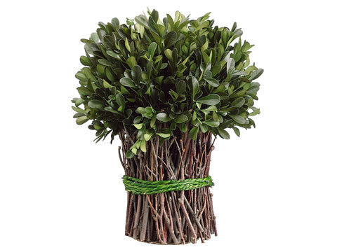 10.2" Preserved Boxwood Bundle Green (pack of 4)