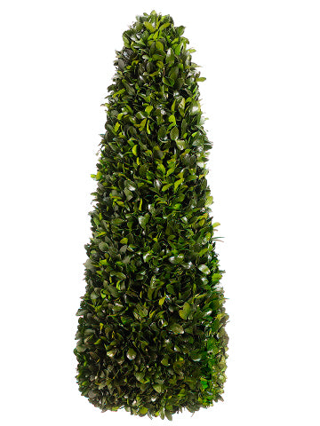 40" Preserved Tea Leaf Cone Topiary Green (pack of 1)