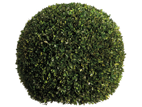 23" Preserved Boxwood Ball  Green (pack of 1)