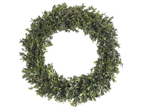 22" Preserved Boxwood Wreath  Green (pack of 2)