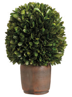 6.5"Dx10"H Preserved Boxwood Ball in Pot Green (pack of 4)