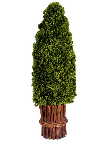 22" Glittered Preserved Celosia Topiary w/Twig Base Green (pack of 2)