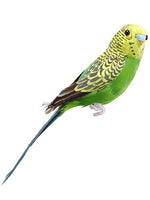 Green Yellow