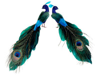8" Close-Tailed Peacock Picks (2 ea/set) Peacock (pack of 12)