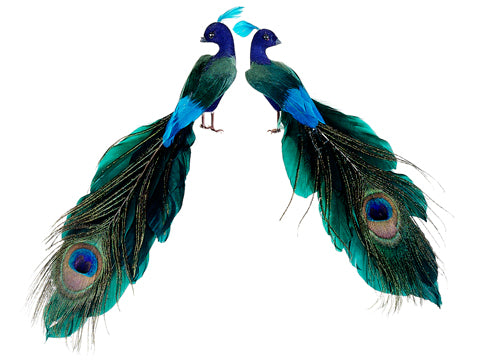 8" Close-Tailed Peacock Picks (2 ea/set) Peacock (pack of 12)