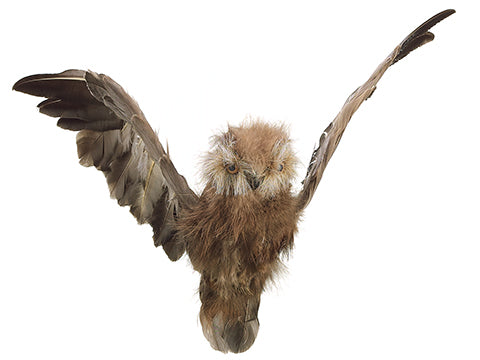 10"Wx23"L Flying Owl  Brown (pack of 4)