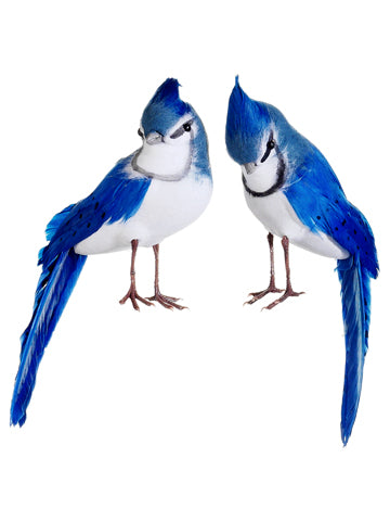 8" Blue Jay (2 ea/set)  Blue White (pack of 6)