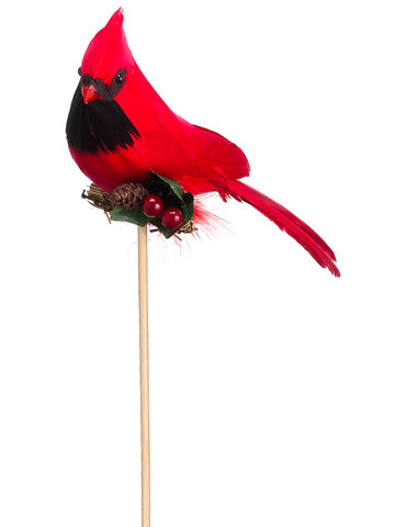 6" Cardinal Pick w/Holly  Red (pack of 12)