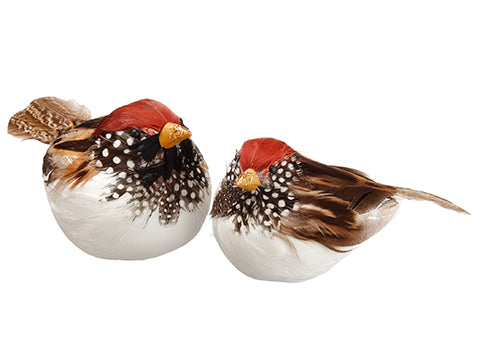 2.5"-3" Bird (2 Ea/set)  Brown (pack of 2)