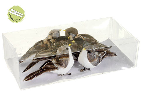 2.3"Hx6.1"Wx10"L Song Birds with Clip Assortment (2 ea/3 styles) in Box Natural (pack of 6)