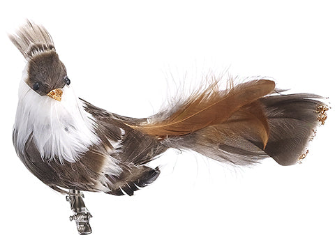 5.5" Bird With Clip  Brown (pack of 12)