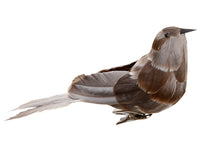 8" Bird with Clip  Brown (pack of 12)