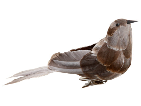 8" Bird with Clip  Brown (pack of 12)
