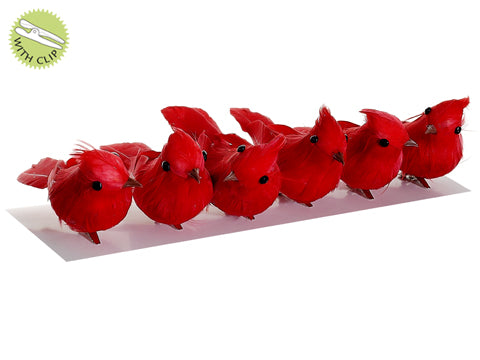 4" Assorted Mini Cardinal w/Clip (6 ea/box) Red (pack of 16)