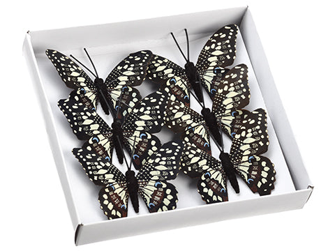 2"Wx3"L Butterfly (6ea/box)  Brown Beige (pack of 12)