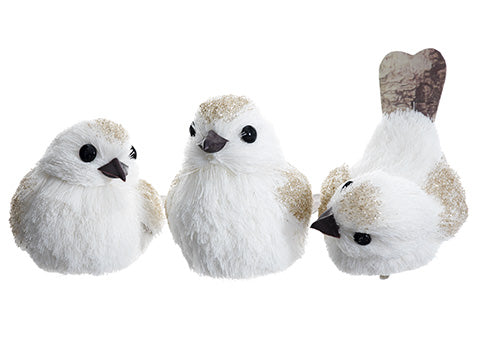 4" Glittered Bird With Clip (3 ea/set) White Champagne (pack of 6)