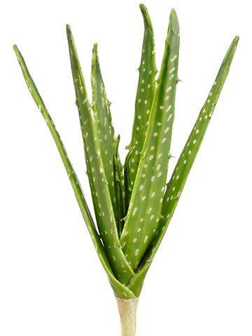 12.5" Soft Aloe Pick  Green (pack of 12)