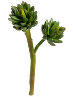 9.5" Agave x2 Stem  Green (pack of 12)