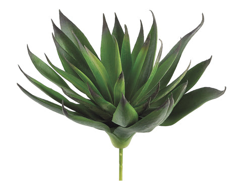 7.8" Agave Plant with 33 Leaves Green Purple (pack of 12)