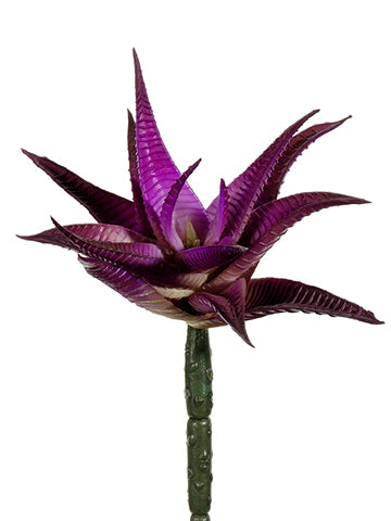 6" Agave Pick  Orchid (pack of 24)