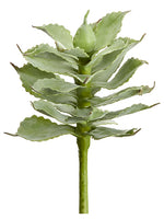 9.5" Agave Pick  Green Gray (pack of 12)