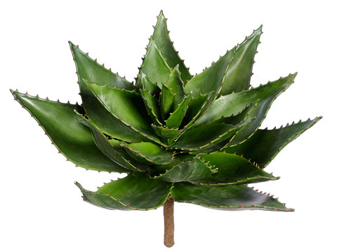13"Hx17"D Aloe  Frosted Green (pack of 2)