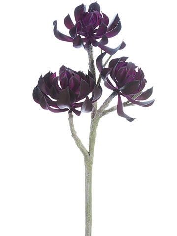 13" Soft Plastic Aeonium Spray x3 Burgundy (pack of 6)