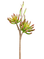 18" Soft Plastic Spike Aeonium Spray x2 Green Burgundy (pack of 6)