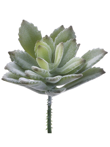 3" Baby Agave Pick  Green (pack of 24)