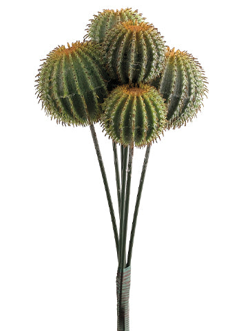 14" Barrel Cactus on Stem  Green (pack of 12)