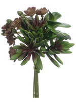 7" Succulent Garden Bouquet  Green Burgundy (pack of 12)