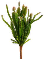 8.5" Cactus Pick  Green Burgundy (pack of 12)