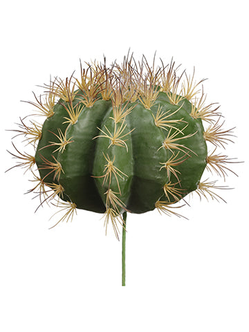 14"Hx9"D Soft Barrel Cactus  Green (pack of 4)