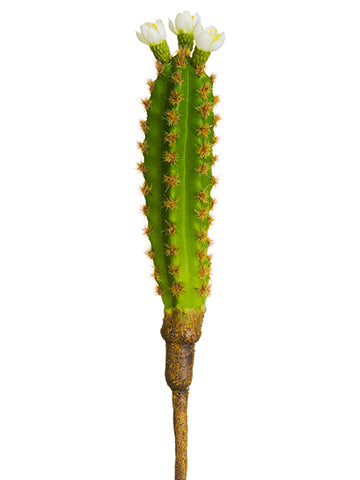 9" Blooming Cactus Pick  Green Cream (pack of 12)