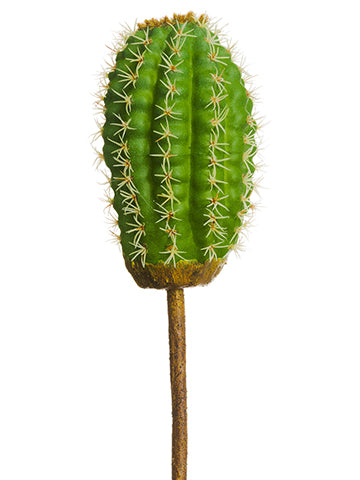 10" Cactus Pick  Green (pack of 12)