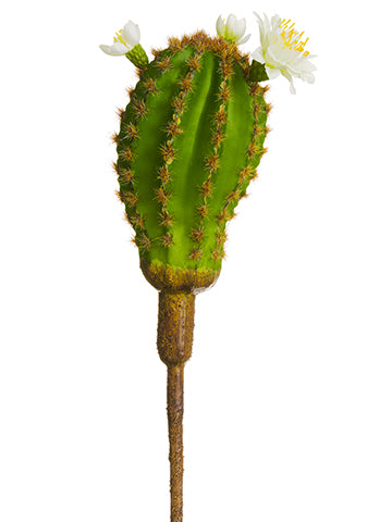 10" Blooming Cactus Pick  Green Cream (pack of 12)