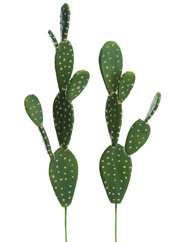 18.5"-21.5" Soft Bunny Ear Cactus (2 Assorted/set) Green (pack of 12)