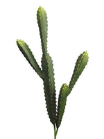 20"-26" Soft Cactus (2 Assorted/set) Green (pack of 6)