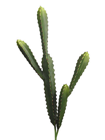 20"-26" Soft Cactus (2 Assorted/set) Green (pack of 6)