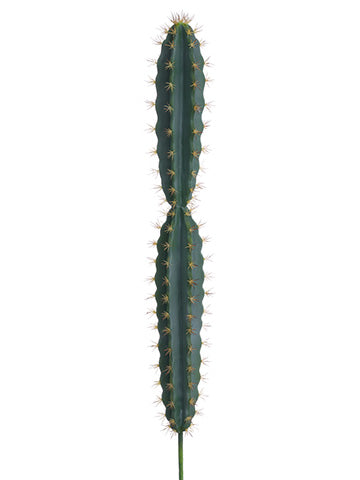 36" Soft Cactus  Green Gray (pack of 4)