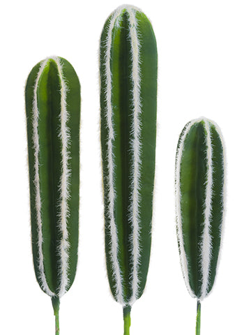 13"-17.5" Soft Peruvian Cactus (3 Assorted/set) Green (pack of 12)