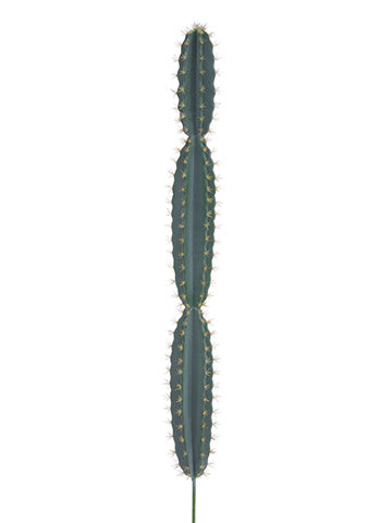 48.25" Soft Cactus  Green Gray (pack of 4)