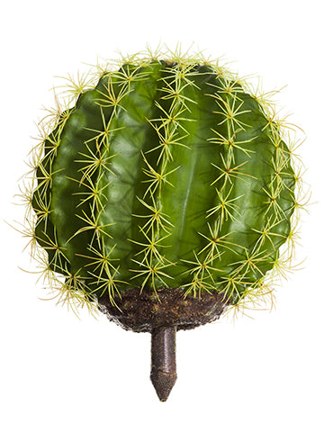16"Hx13"D Barrel Cactus  Green (pack of 4)
