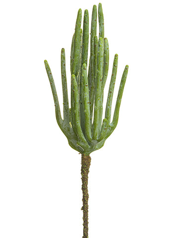 10" Stick Cactus Pick  Green Gray (pack of 12)