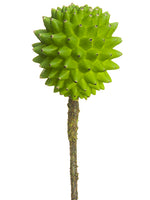 6.5" Barrel Cactus Pick  Green (pack of 12)