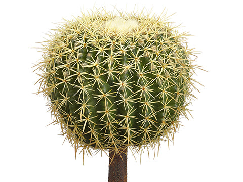 12"Hx9"D Barrel Cactus  Green (pack of 4)