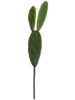 25" Pear Cactus Pick  Green (pack of 12)