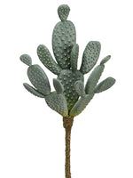 10.5" Pear Cactus Pick  Green Gray (pack of 12)