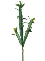 14.5" Cactus Bundle x3  Green (pack of 24)